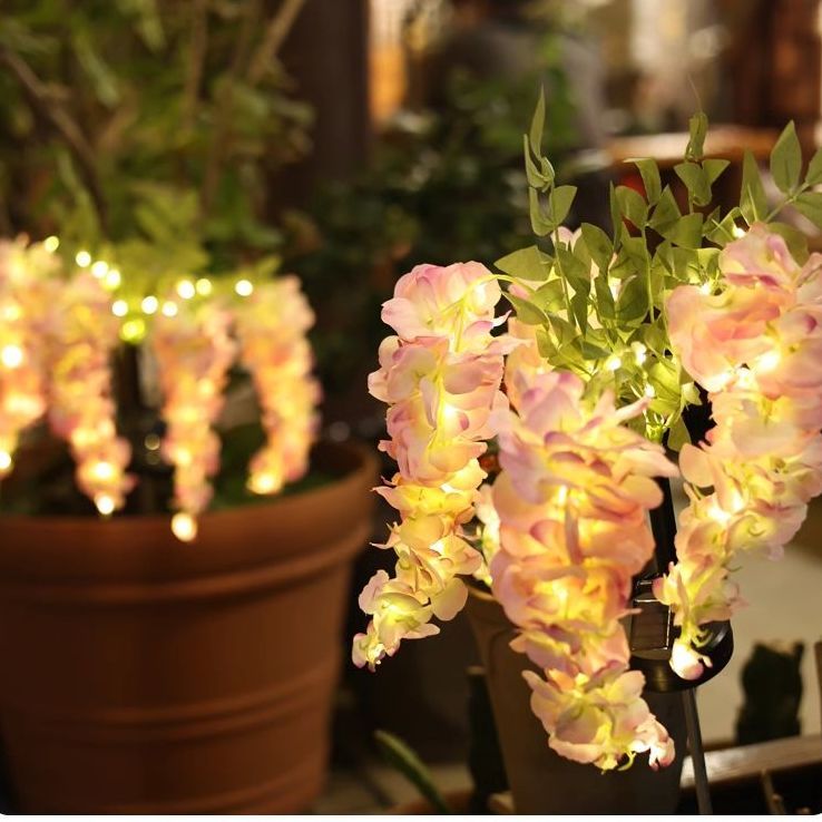 1PC Solar LED Wisteria Light,  - مراجعة Outdoor Lighting Yard Stakes وسعره
