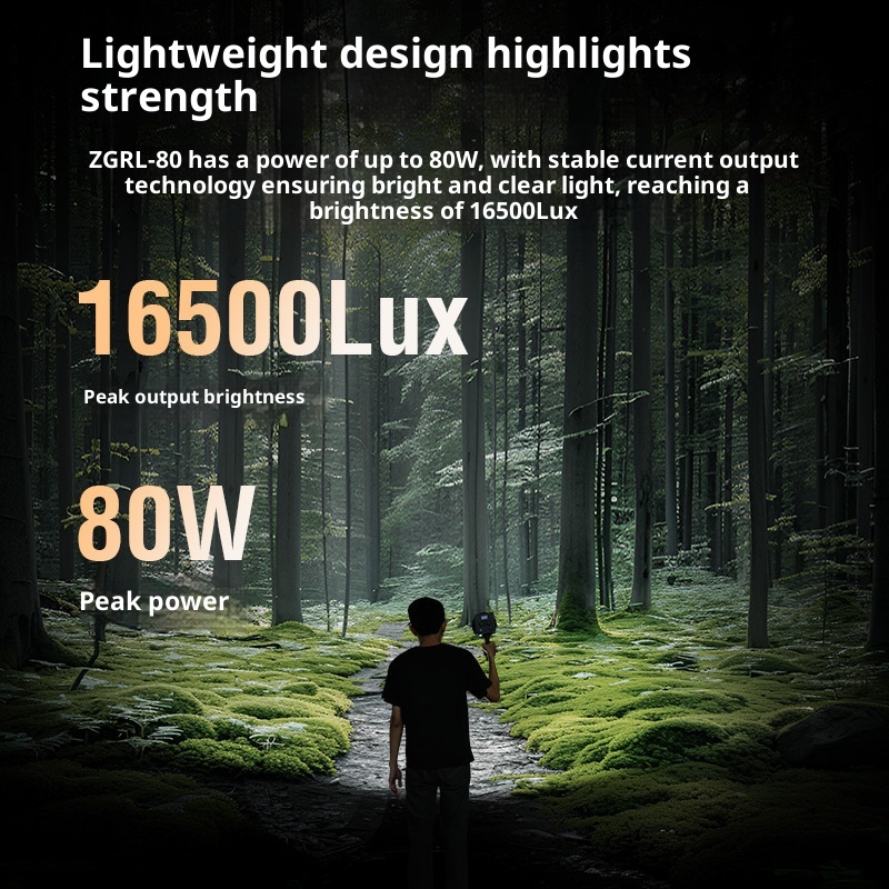 ZGRL80 80W COB LED Video Light - مراجعة Outdoor Lighting In Photography وسعره
