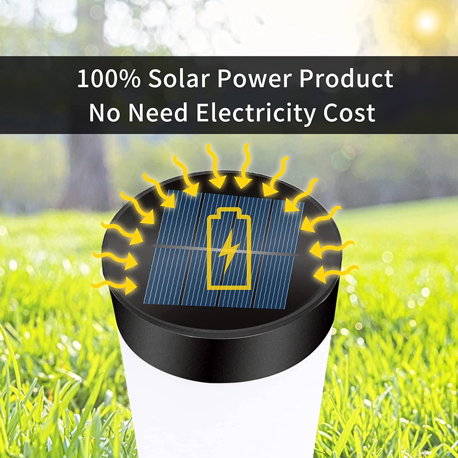6Pakc Stainless Steel Solar Pa - مراجعة Outdoor Lighting Bollards وسعره