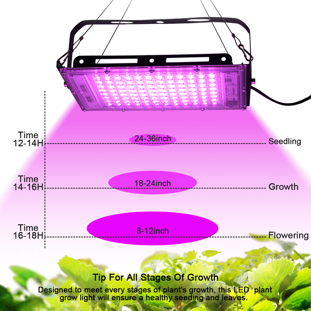 Full Spectrum LED Grow Light P - مراجعة Outdoor Lighting The Range وسعره